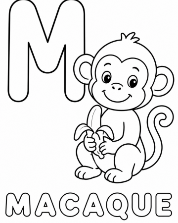 Coloriage Lettre M comme Macaque : Abécédaire Animaux pour Maternelle