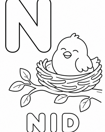 Coloriage Lettre N comme Nid : Abécédaire Éducatif pour Maternelle
