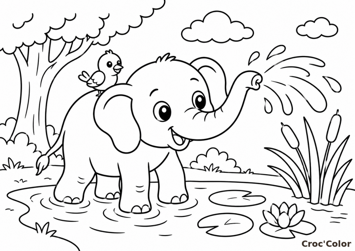 Coloriage Éléphant Facile Maternelle - Dessin Bébé Éléphant qui Joue dans l'Eau à Imprimer Gratuit