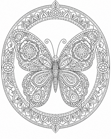 Coloriage Mandala Papillon Difficile - Dessin Grand Papillon Zen à Imprimer