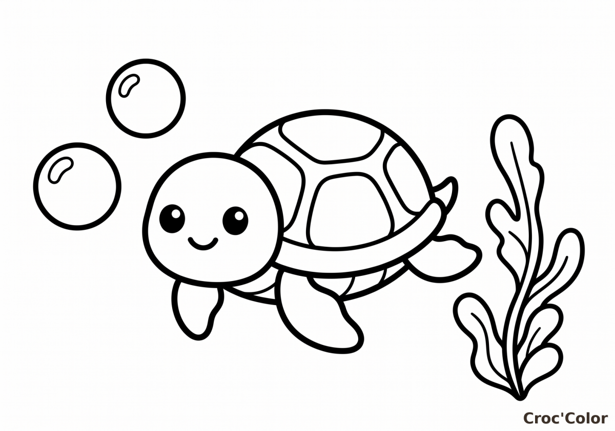 Coloriage Tortue de Mer Facile - Dessin Océan Maternelle à Imprimer